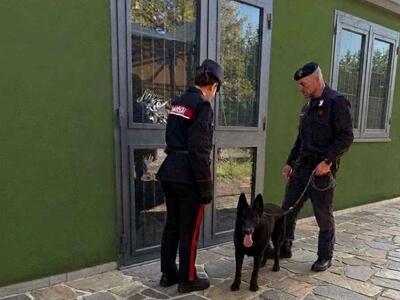 Controlli straordinari dei carabinieri in Garfagnana e Mediavalle: nel mirino spaccio e spacciatori